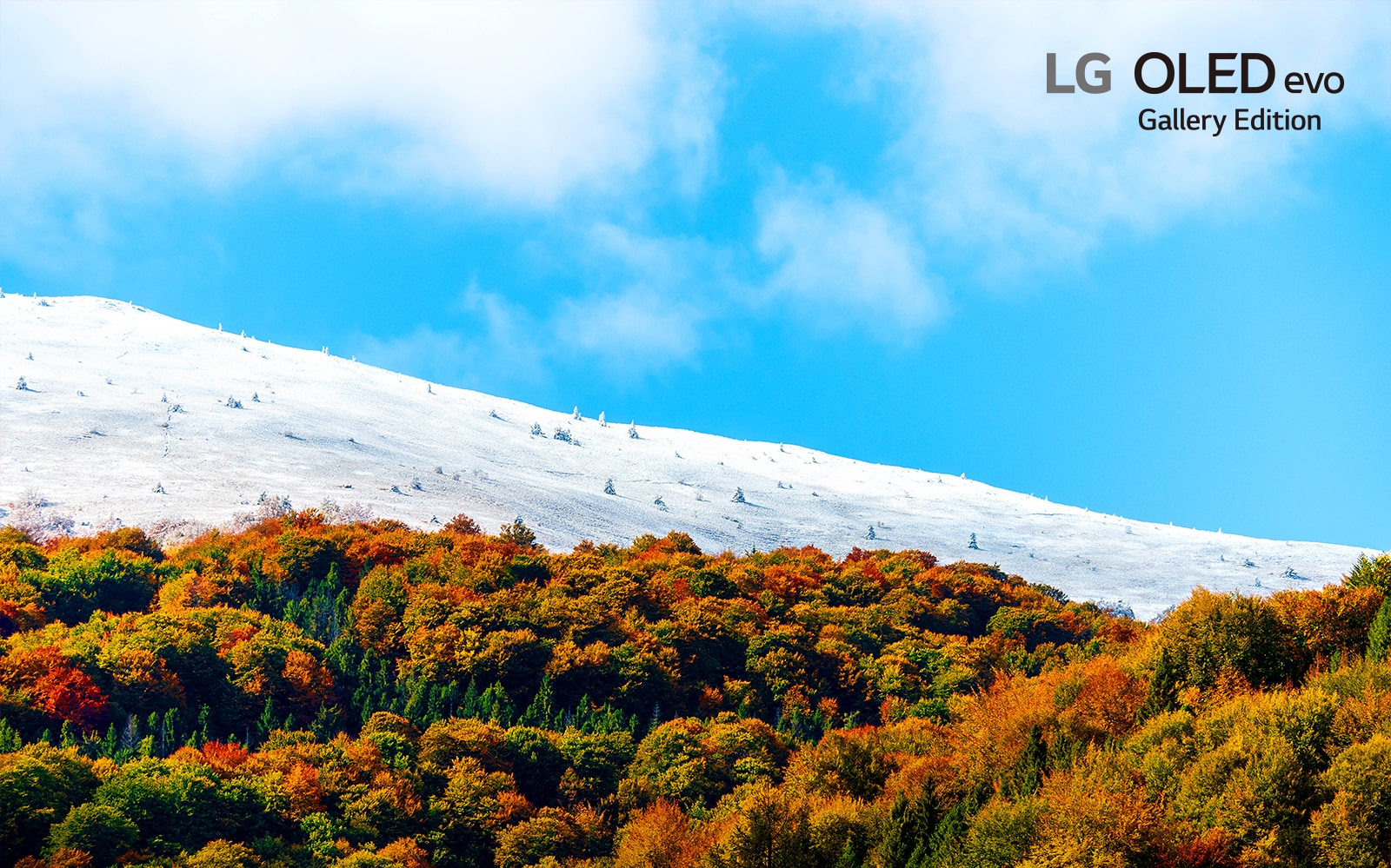 Various images of the natural environment to explain the OLED function of the product