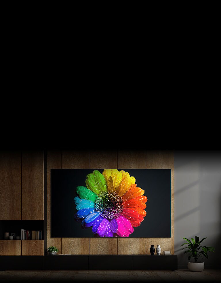 Brighter & Bolder 