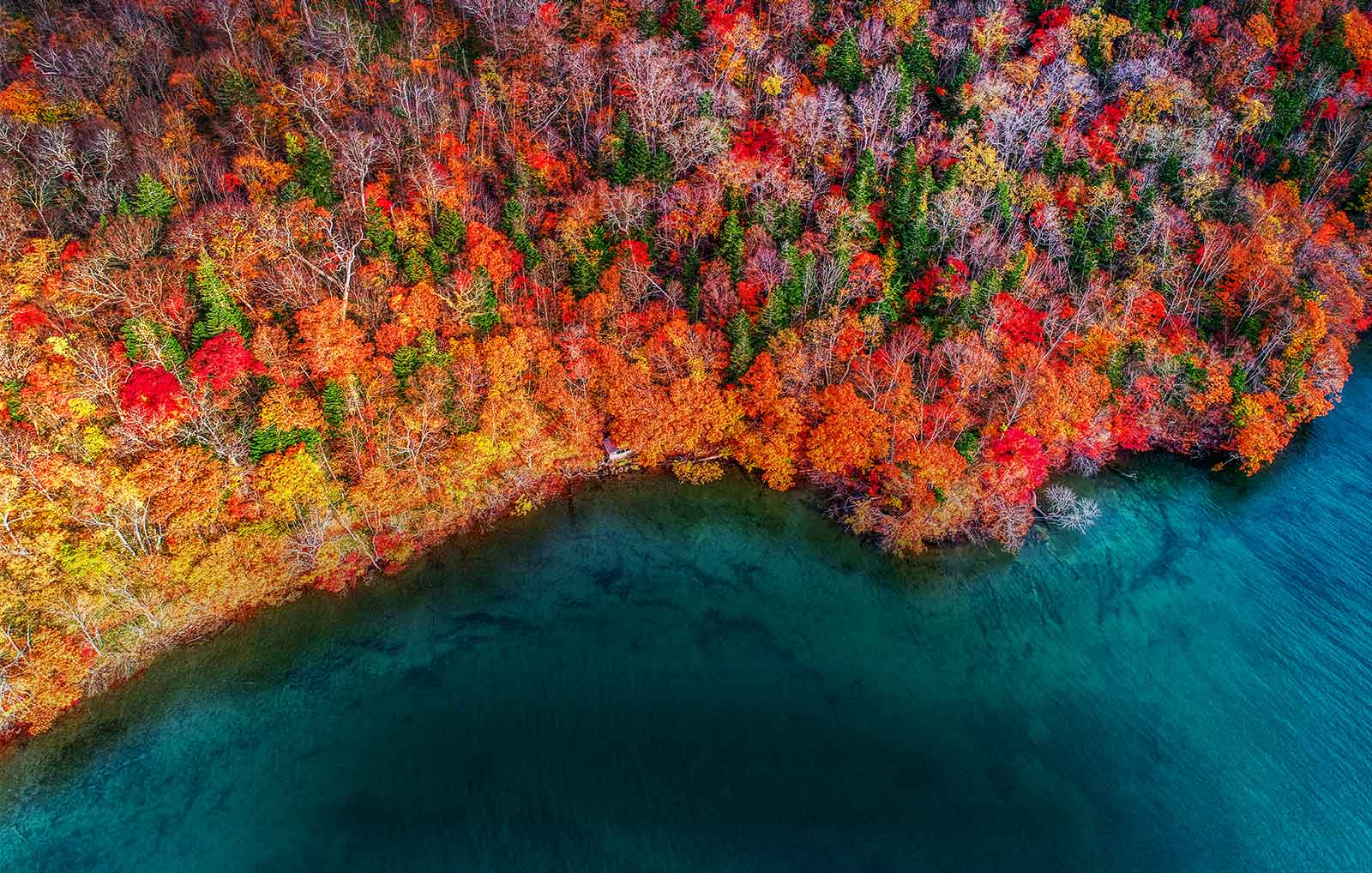 LG NanoCell TV 4K puts color on full display1