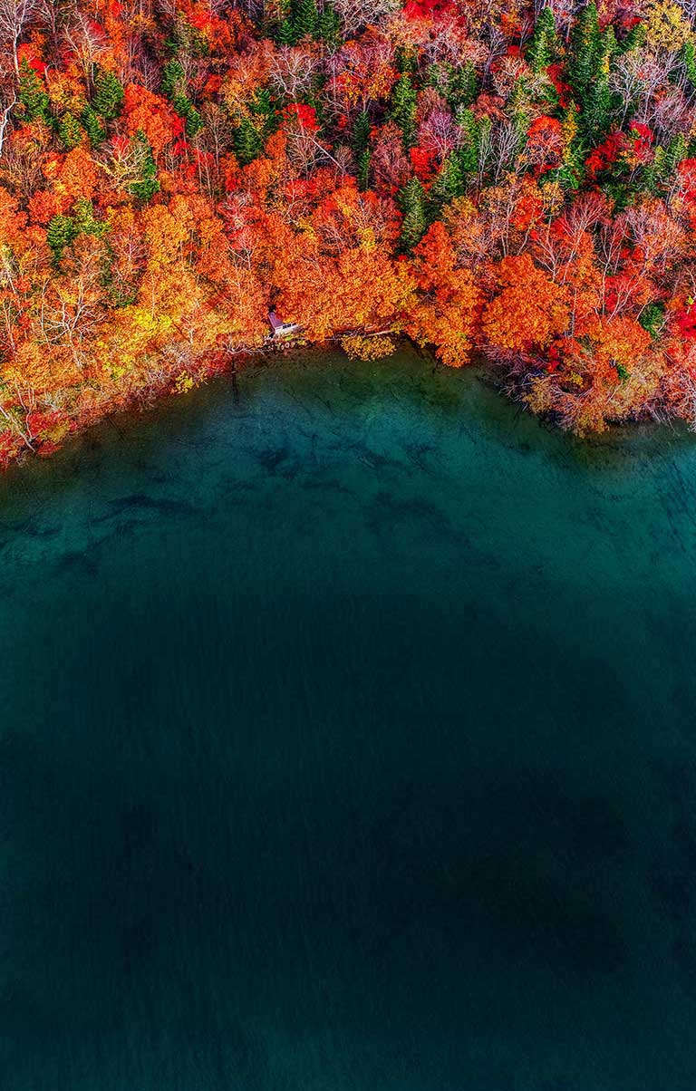 LG NanoCell TV 4K puts color on full display2