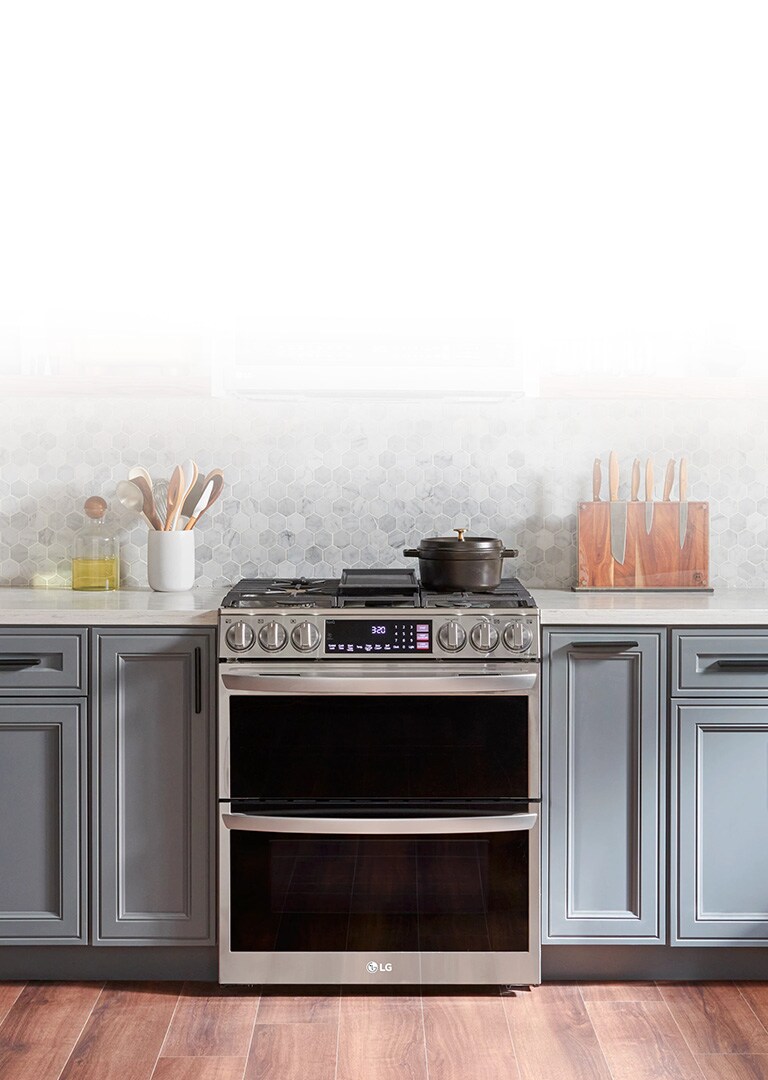 LG 6.9 cu. ft. Smart Gas Double Oven Slidein Range with InstaView