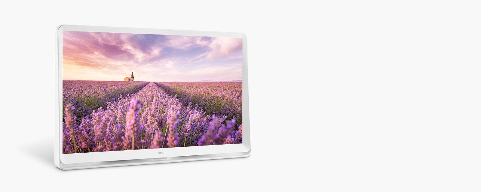 LG 27” Full HD IPS LED TV Monitor (27LQ600SW) LG USA