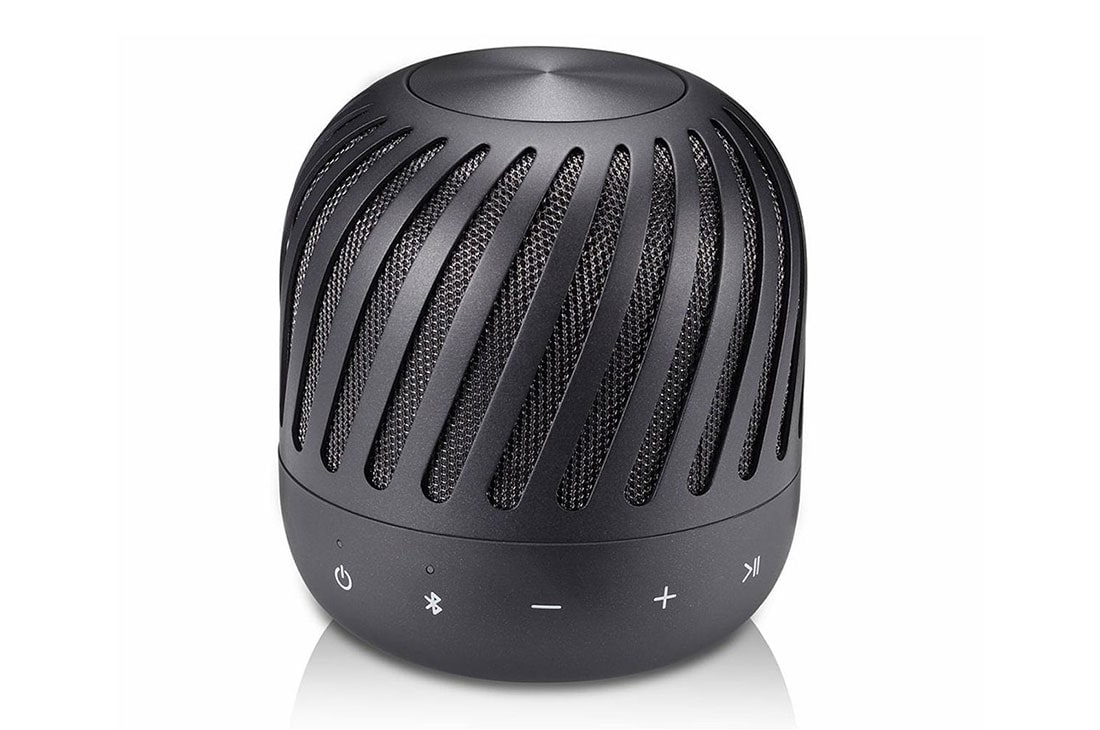 lg portable speaker pj2