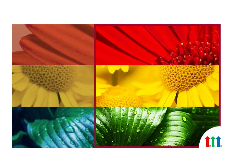 Ultimate Color Accuracy2