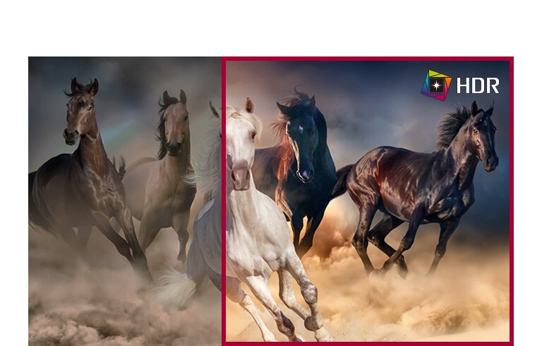 Faithful to The Original Picture2