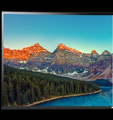 Auto Brightness with Ambient Light Sensor