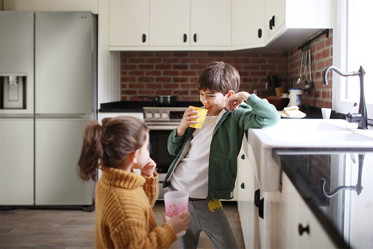 LG Refrigerator Filters: Replacement Air & Water Filters | LG USA