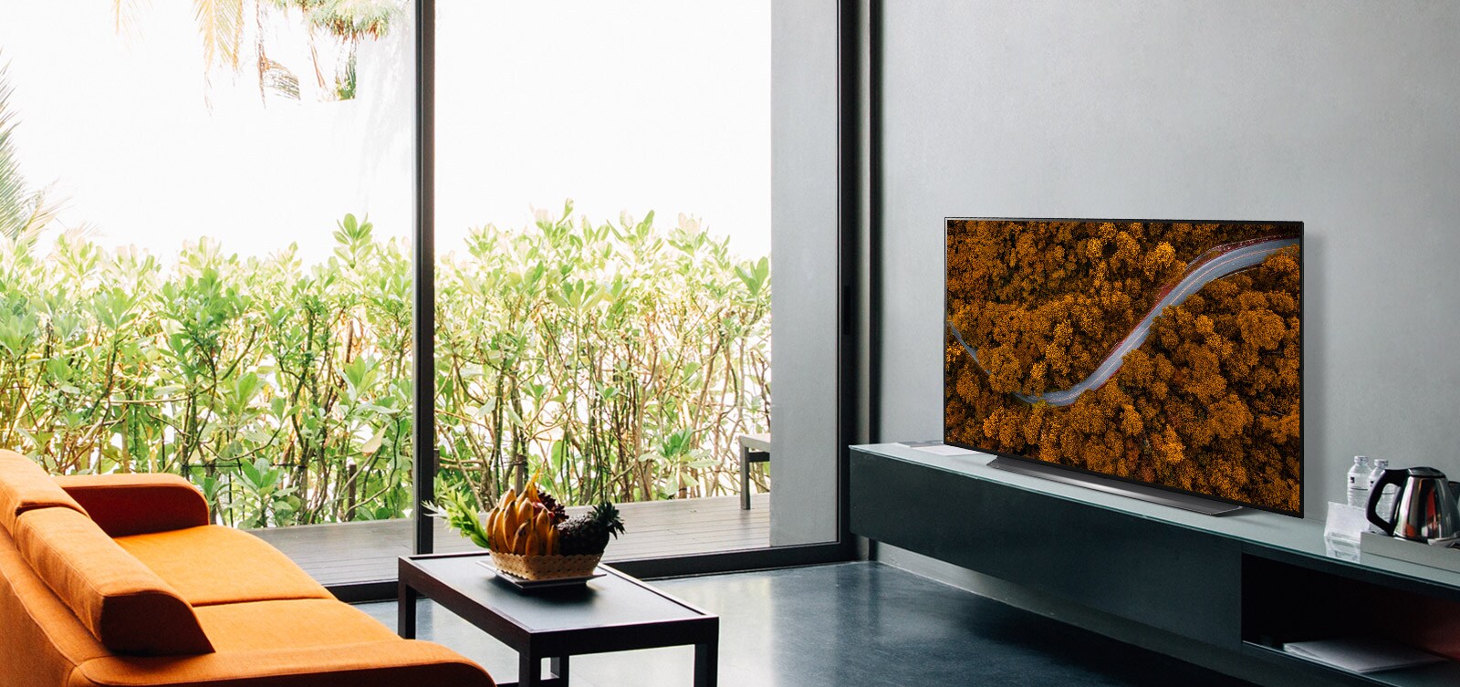 Living room with a sofa and a TV showing an aerial view of nature