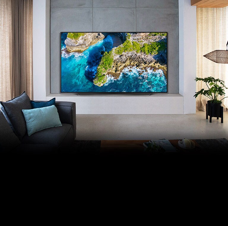 LG CX 55inch Class 4K Smart OLED TV w/ AI ThinQ® LG USA