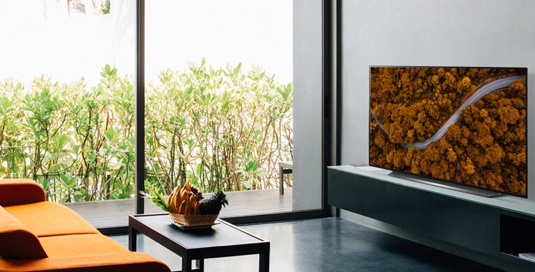 Living room with a sofa and a TV showing an aerial view of nature