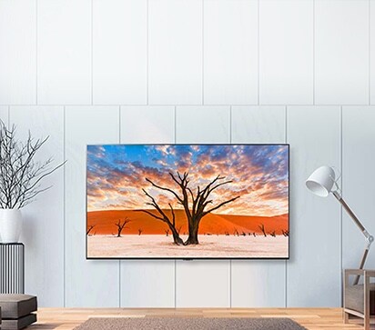 Check out our latest products