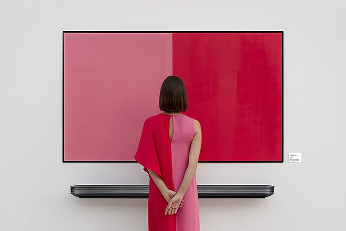 A delicate aesthetic: Anna Devís and Daniel Rueda