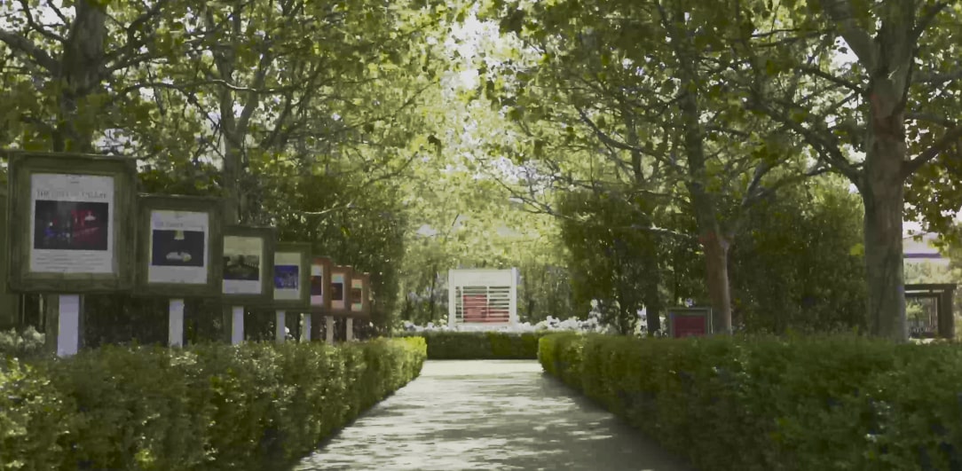 A pathway guarded by trees and surrounded by greenery.