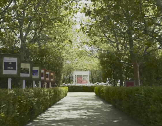 A pathway guarded by trees and surrounded by greenery.