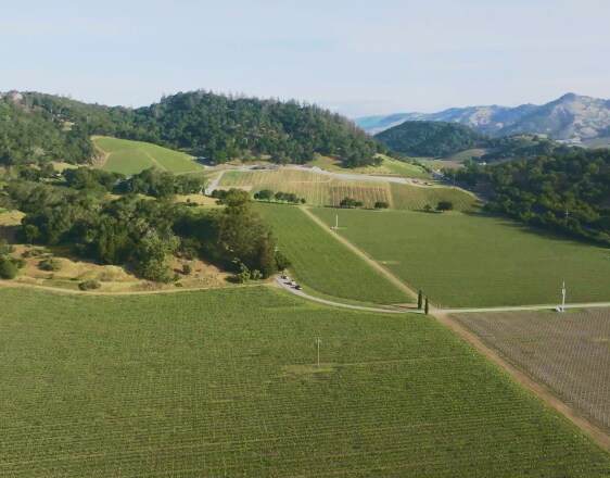A wide view of a wine estate showing green fields.