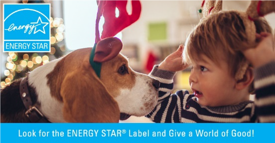 Energy Star Label