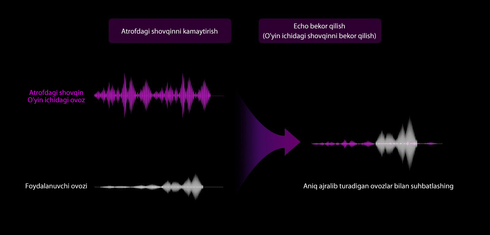 “Rasmning tepasida “"Hajmli ovoz shovqinini bekor qilish”” va ““Aks-sadoni bekor qilish” (oʻyin ichidagi shovqinni bekor qilish””) deb nomlangan ikkita matnli maydon mavjud.  Binafsharang “atrofdagi shovqin, oʻyin ichidagi ovoz” grafigi mavjud – grafik diapazoni keng boʻlib, baland shovqinga ishora qiladi. Quyida oq rangdagi ““Foydalanuvchi ovozlari”” grafigi mavjud. Dastlab grafik juda tekis, lekin grafikning keyingi qismi keng boʻlib, kimdir gapira boshlaganiga ishora qiladi. Tasvirning oʻng tomonida ikkita chap grafik birlashtirilib, foydalanuvchi gapira boshlagach, atrofdagi barcha shovqin tinchib, ovoz kuchayganiga ishora qiladi.”