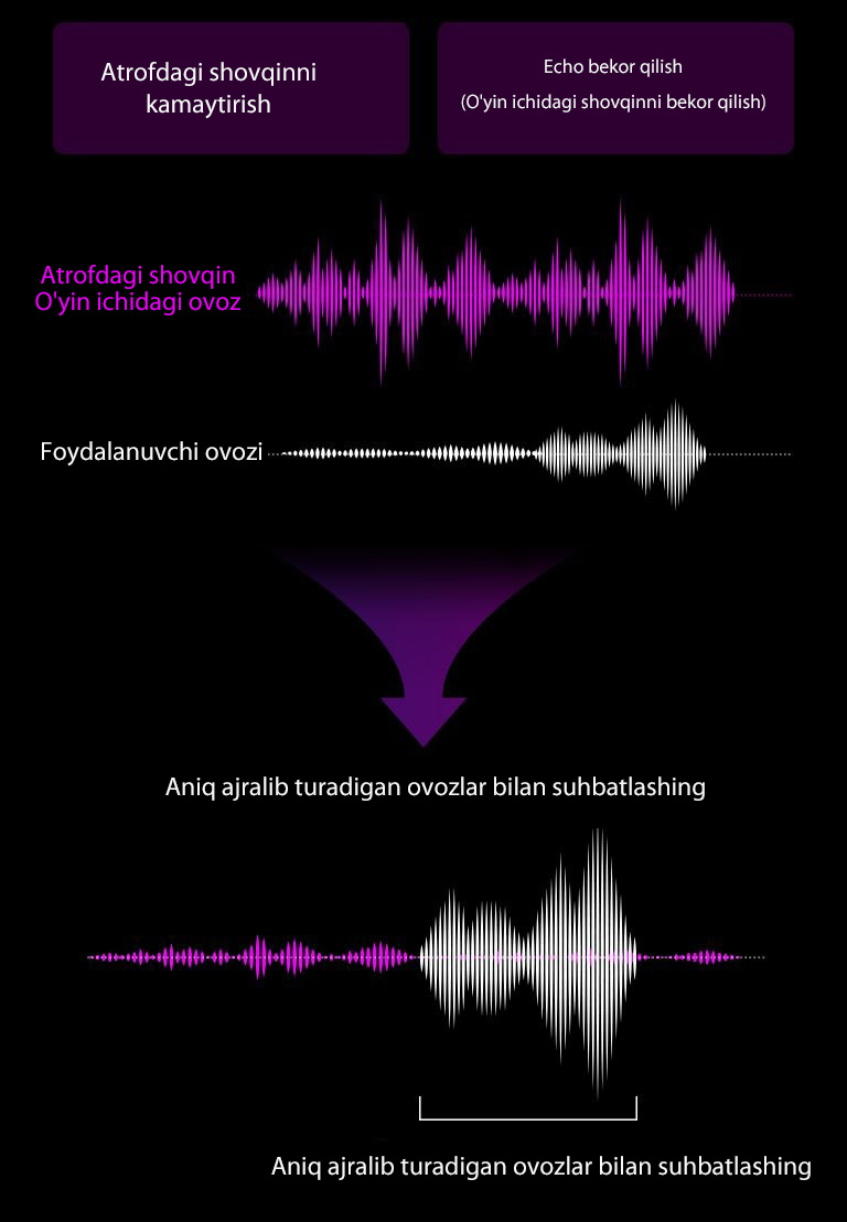 “Rasmning tepasida “"Hajmli ovoz shovqinini bekor qilish”” va ““Aks-sadoni bekor qilish” (oʻyin ichidagi shovqinni bekor qilish””) deb nomlangan ikkita matnli maydon mavjud.  Binafsharang “atrofdagi shovqin, oʻyin ichidagi ovoz” grafigi mavjud – grafik diapazoni keng boʻlib, baland shovqinga ishora qiladi. Quyida oq rangdagi ““Foydalanuvchi ovozlari”” grafigi mavjud. Dastlab grafik juda tekis, lekin grafikning keyingi qismi keng boʻlib, kimdir gapira boshlaganiga ishora qiladi. Tasvirning oʻng tomonida ikkita chap grafik birlashtirilib, foydalanuvchi gapira boshlagach, atrofdagi barcha shovqin tinchib, ovoz kuchayganiga ishora qiladi.”