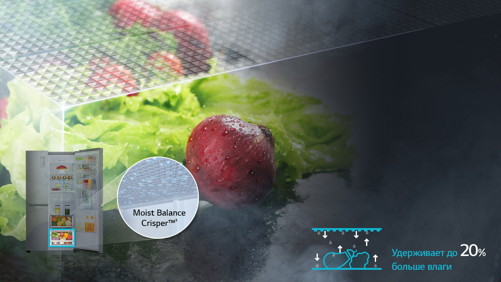 Система <br>Moist Balance Crisper™⁵<br>1