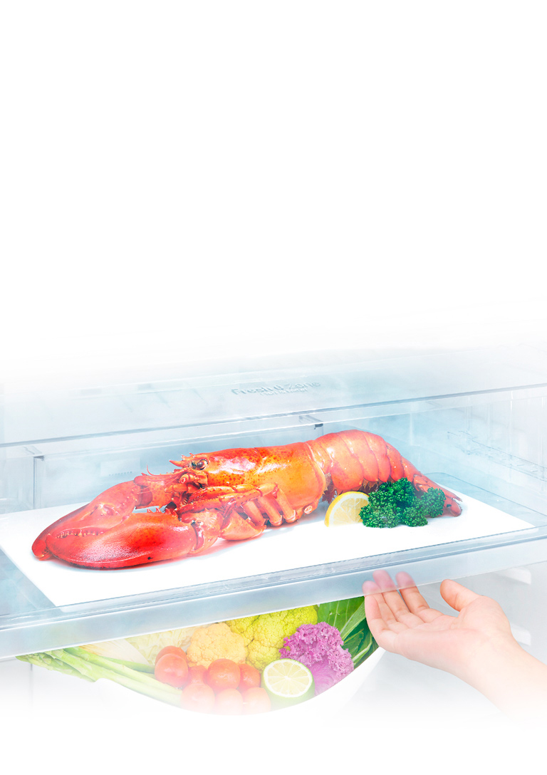 Fresh 0 Zone* Nol harorat doirasi<br>1