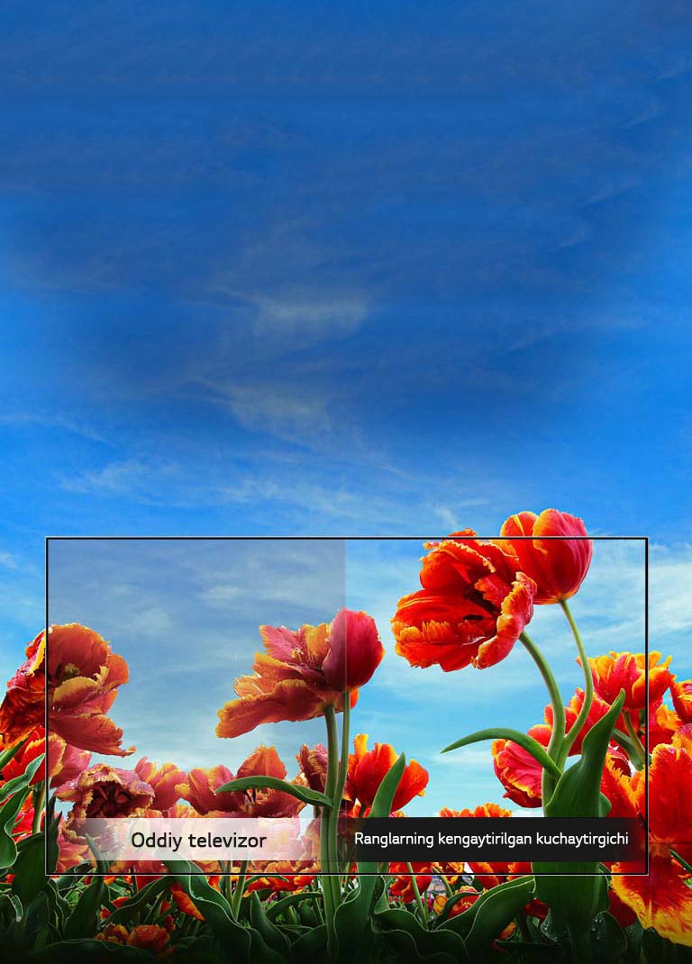 Ranglarning dinamik kuchaytirgichi