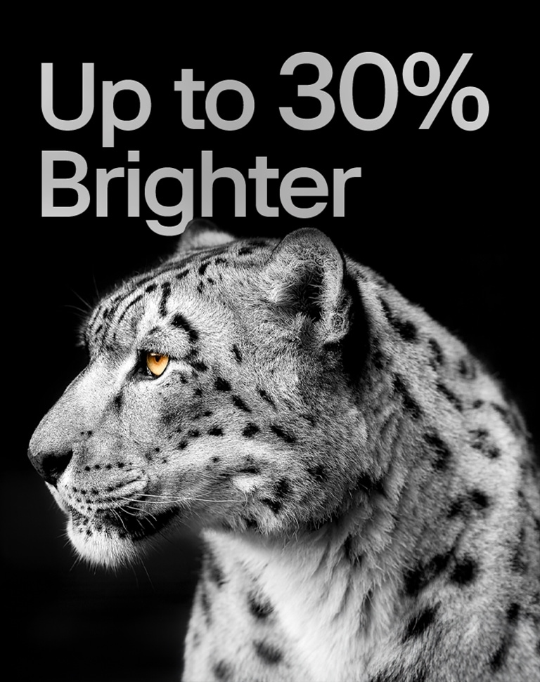 Oq leopardning yuzining tasviri ko'rsatilgan. Chap tomonda "30% yorqinroq" yozuvi.