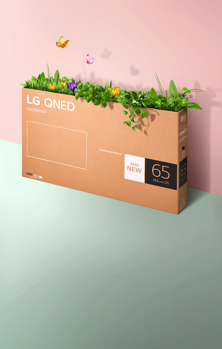 Pushti, yashil fonda joylashgan QNED qadoqlash qutisi, maysalar oʻsmoqda va uning ichidan kapalaklar uchib chiqmoqda. 