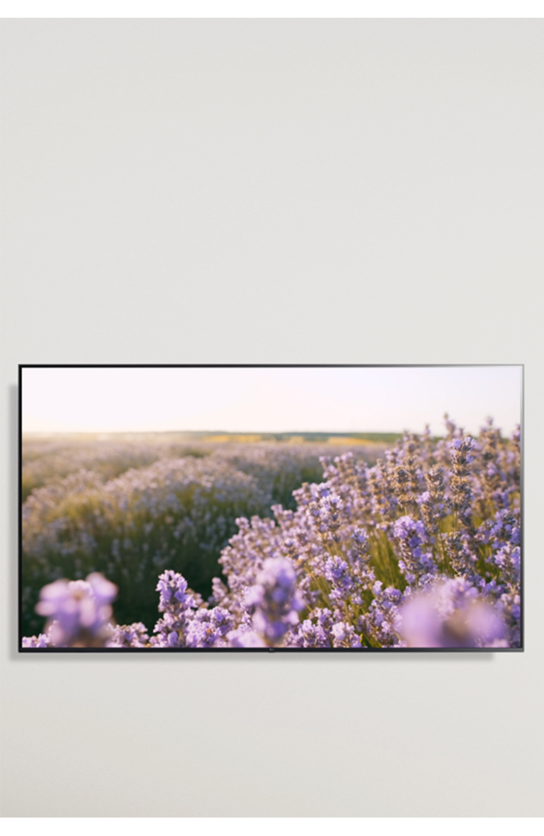 ThinQ AI ovoz buyrugʻi orqali qanday boshqarilishini koʻrsatuvchi video, tavsiya etilgan variantlar izoh koʻrsatilgandan soʻng namoyish etiladi.