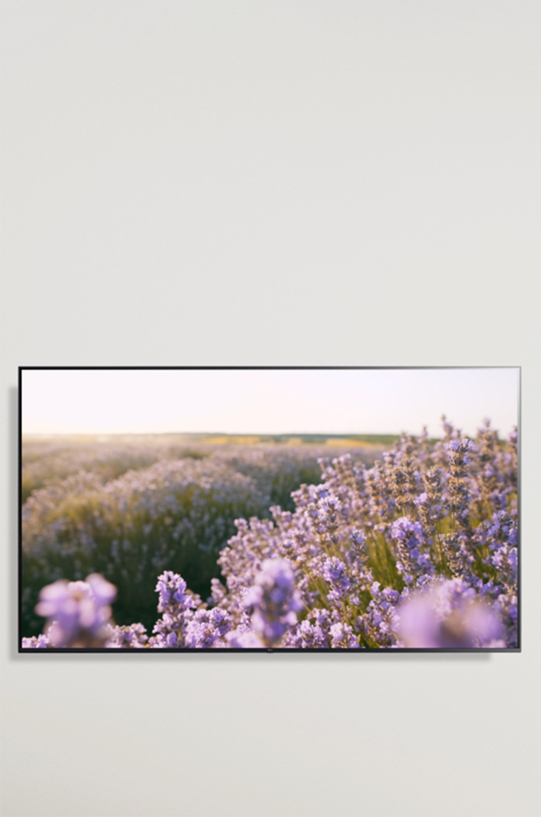 ThinQ AI ovoz buyrugʻi orqali qanday boshqarilishini koʻrsatuvchi video, tavsiya etilgan variantlar izoh koʻrsatilgandan soʻng namoyish etiladi.