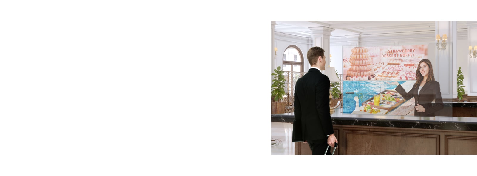 Aniq va yorqin ranglar