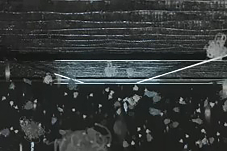 Birlamchi filtrdan oʻta olmaydigan mayda chang.