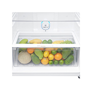 LG Hajm 506 l |  Yuqori muzlatgich kamerali LG sovutgich | Qaymoq rang | DoorCooling⁺™ | Linear Inverter Compressor, GN-C702SGBM, thumbnail 4