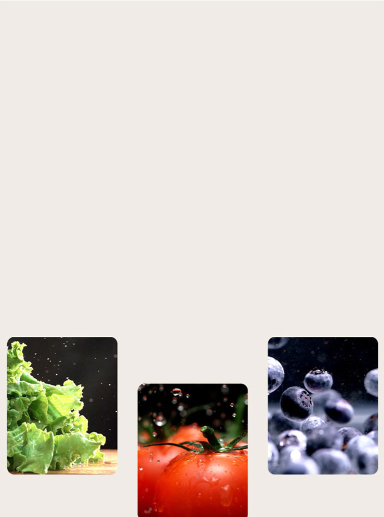 Фрукты и овощи, такие как салат-латук, помидоры и черника, сохраняются в продукте в свежем виде.