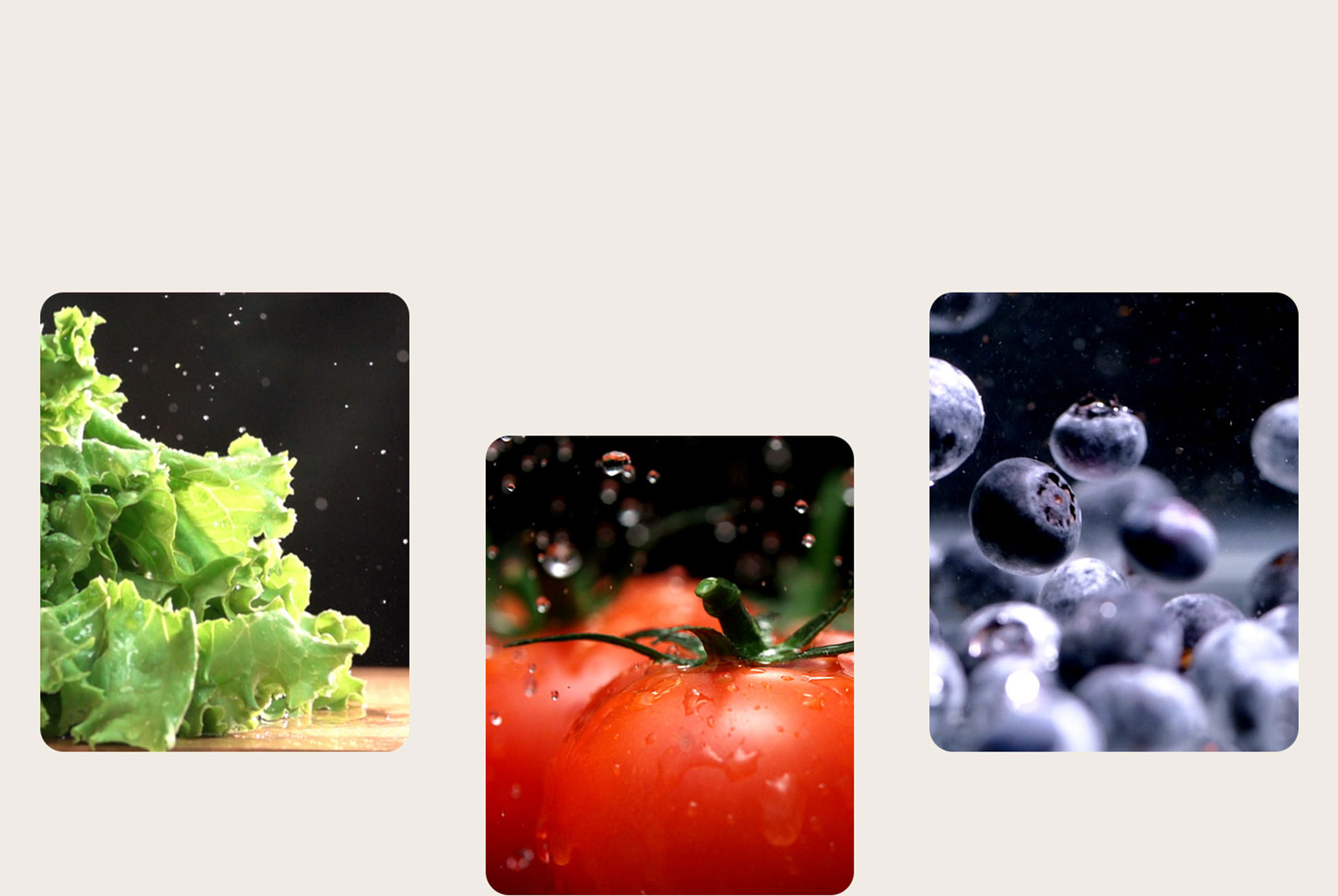 Фрукты и овощи, такие как салат-латук, помидоры и черника, сохраняются в продукте в свежем виде.