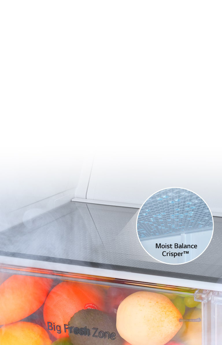LG Moist Balance Crisper