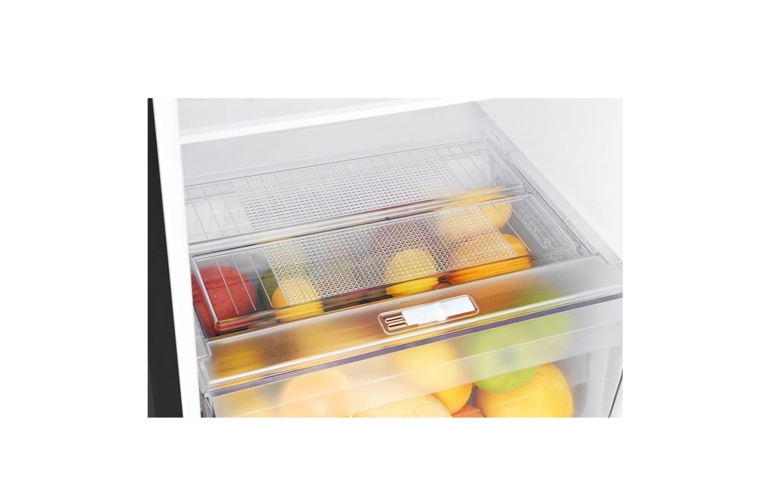 LG Hajm 312 l |  Yuqori muzlatgich kamerali LG sovutgich | Qora | DoorCooling⁺™ | Smart Inverter Compressor, GN-C372SBCB, thumbnail 4