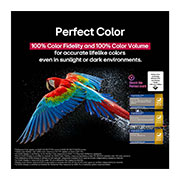 LG 65 dyumli LG OLED evo AI G5 4K Smart TV 2025, Qora fonda o'ta yuqori aniqlikdagi rangdor to‘tiqush. Uning atrofidagi havoda suv tomchilari muallaq turadi. Tasvir Mukammal rangni ko‘rsatadi, chunki to‘tiqush tanasidagi har bir turlicha rang tusi j, OLED65G5RLA, thumbnail 8