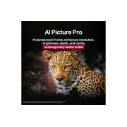 LG 55  dyumli LG OLED evo AI C5 4K Smart TV 2025, O‘rmondagi leopard yorqin rang va tafsilotlarda. Leopardda to‘r va uning orqasida yonib turgan yorug‘lik bor, bu LG AI Picture Pro qanday qilib sahna aniqligi, yorqinligi, chuqurligi va ravshanligini , OLED55C5RLA, thumbnail 9