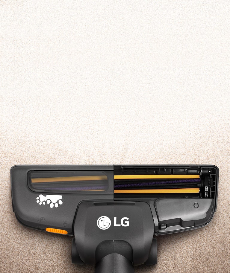 Yung va soch uchun choʻtka