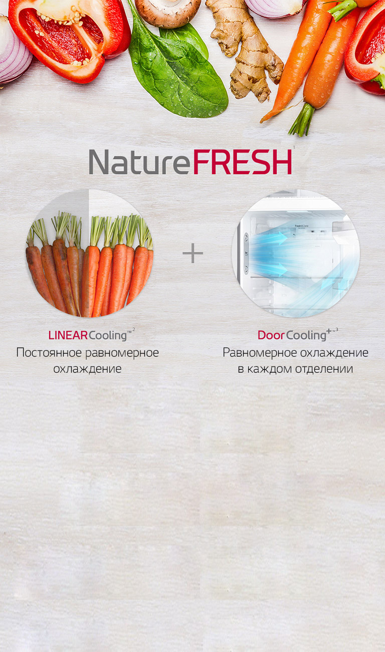 Lg 592 L Holodilnik Lg S Verhnej Morozilnoj Kameroj Doorcooling Filtr Hygienefresh Lg O Zbekiston