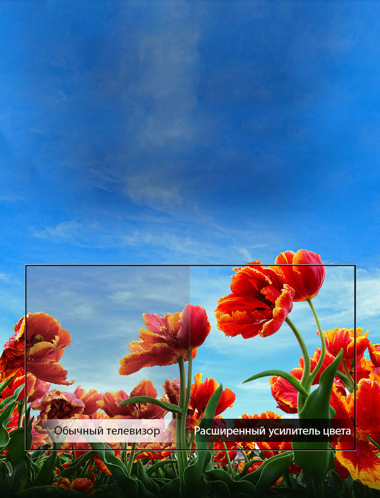 Динамический усилитель цвета2