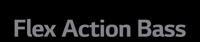 Текст «Flex Action Bass»