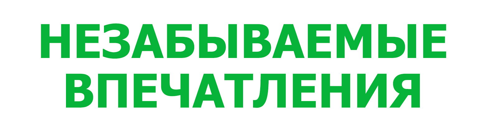Надпись «НЕЗАБЫВАЕМЫЕ ВПЕЧАТЛЕНИЯ» в зелено-желтом градиентном узоре.
