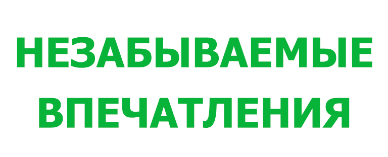 Надпись «НЕЗАБЫВАЕМЫЕ ВПЕЧАТЛЕНИЯ» в зелено-желтом градиентном узоре.