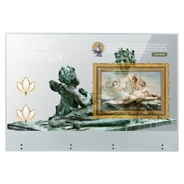 Прозрачный сенсорный дисплей LG 55" 55EW5TF-A | Серия EW5TF-A | яркость 400 кд/м², FHD, OLED2