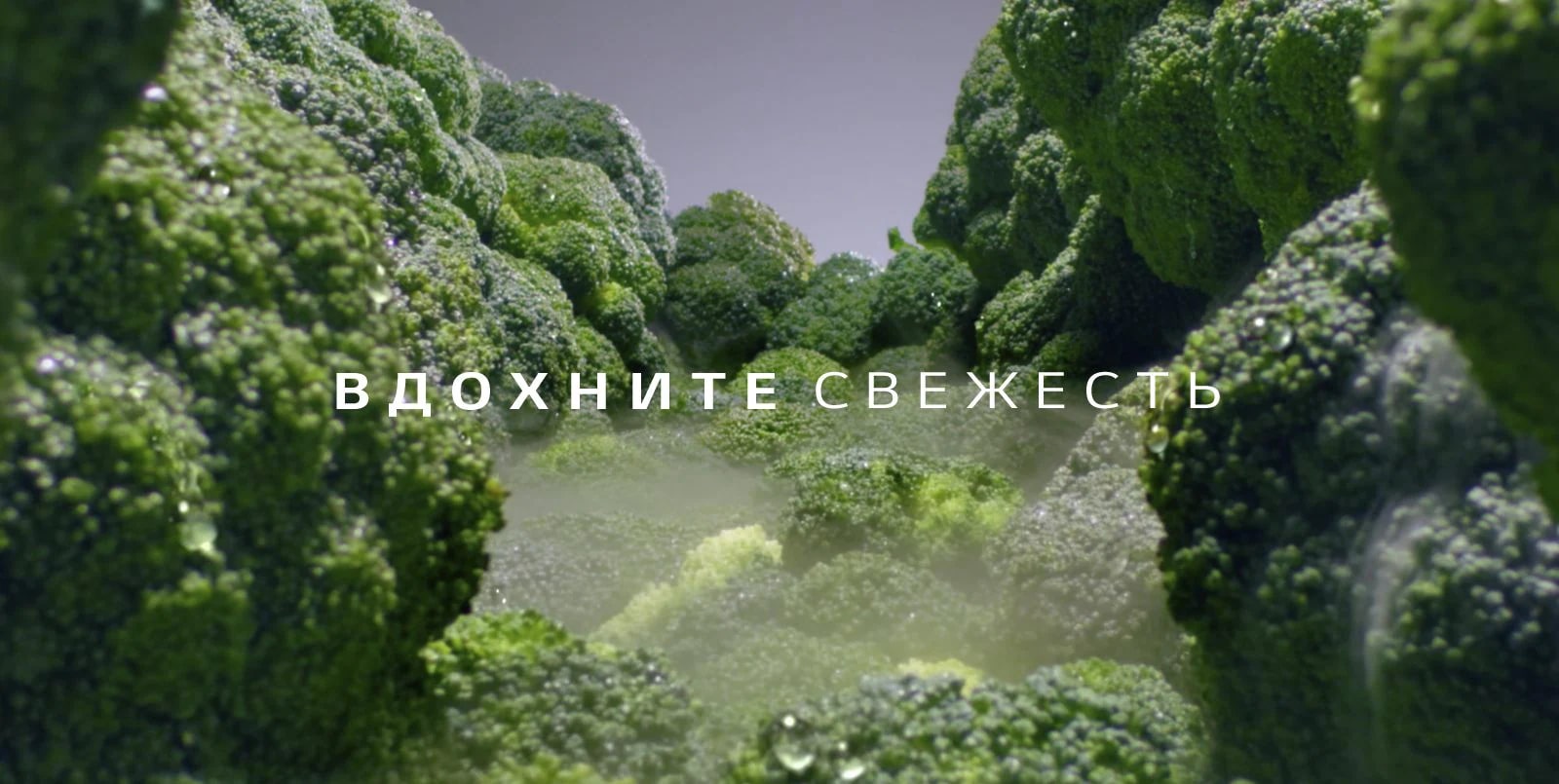 D03-01_D02-01_Global_LinearVPlus_2018_Feature_02_2_LinearCooling_D_02