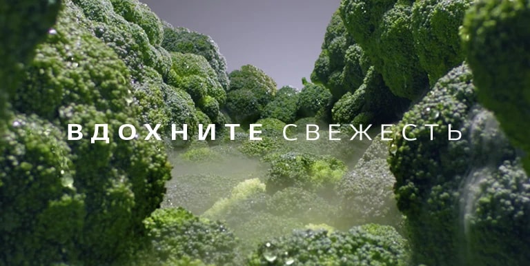 M03-01_M02-01_Global_LinearVPlus_2018_Feature_02_2_LinearCooling_M_02