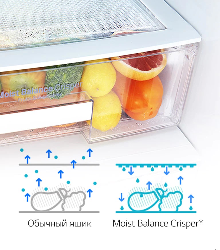 Moist Balance Crisper*2