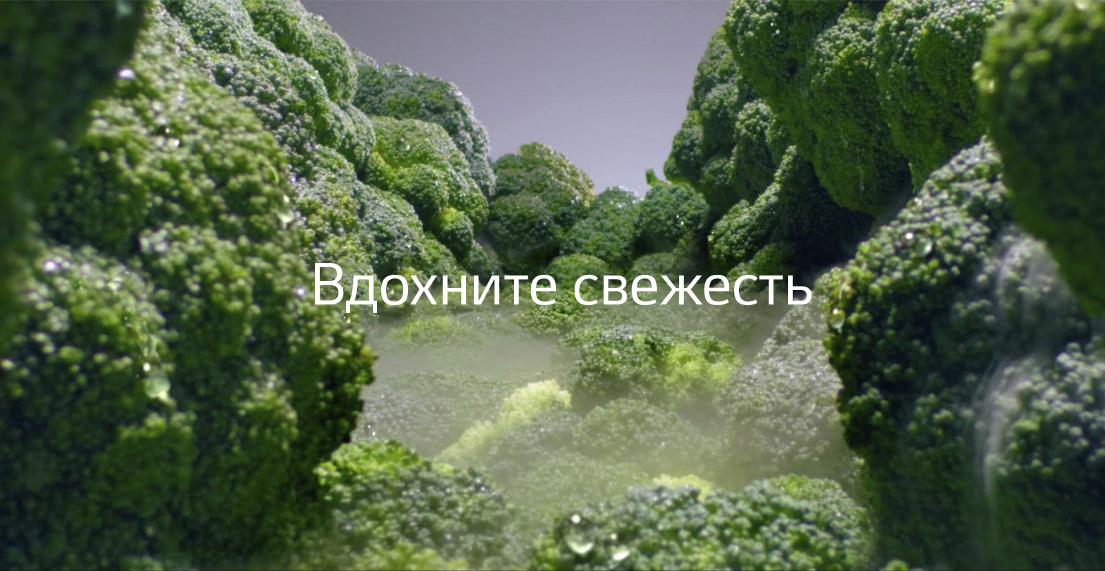 D01-01_01_Taste-Desktop-1(2)