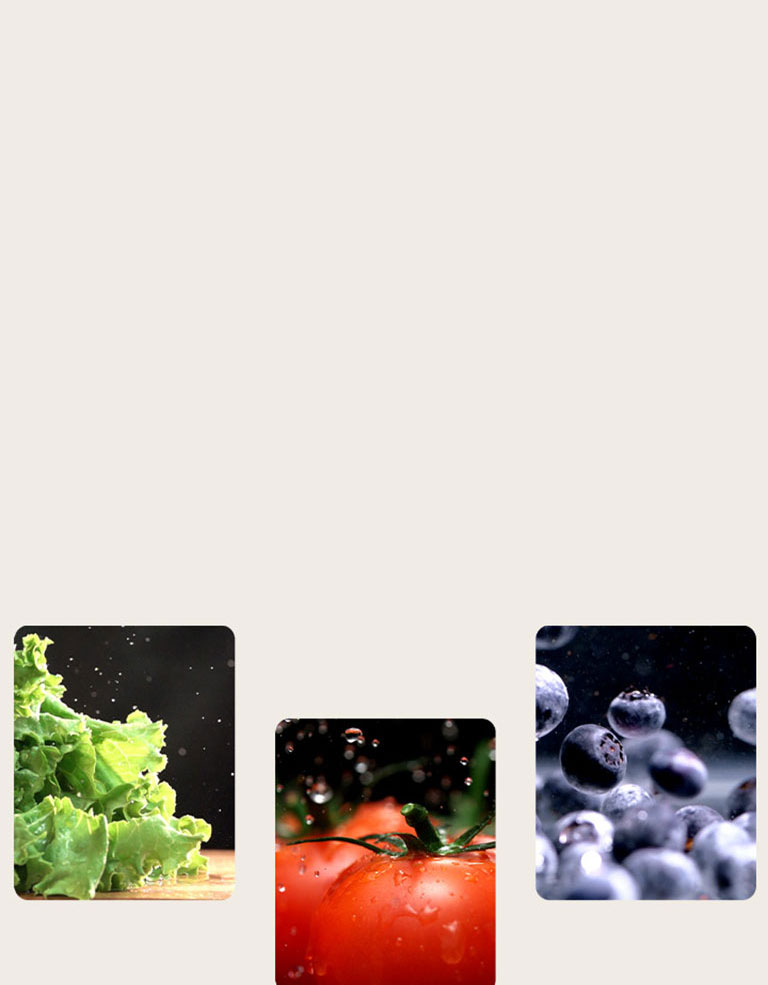 Фрукты и овощи, такие как салат-латук, помидоры и черника, сохраняются в продукте в свежем виде.	